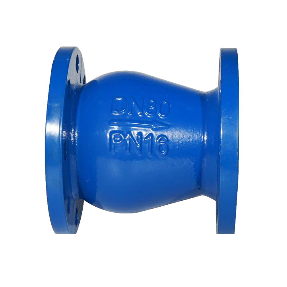 check valve