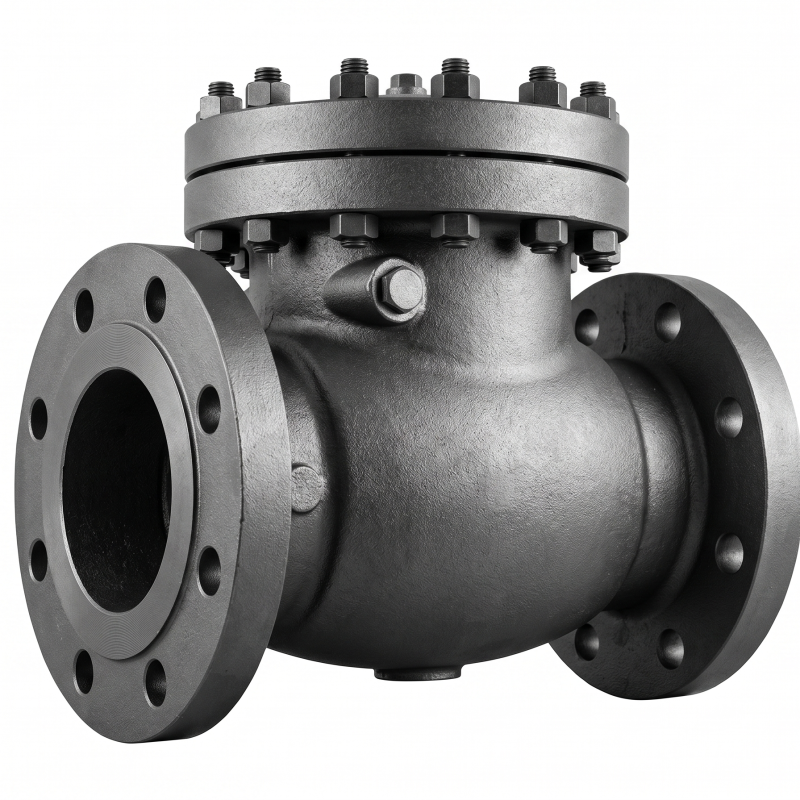 Flanged Swing Check Valve