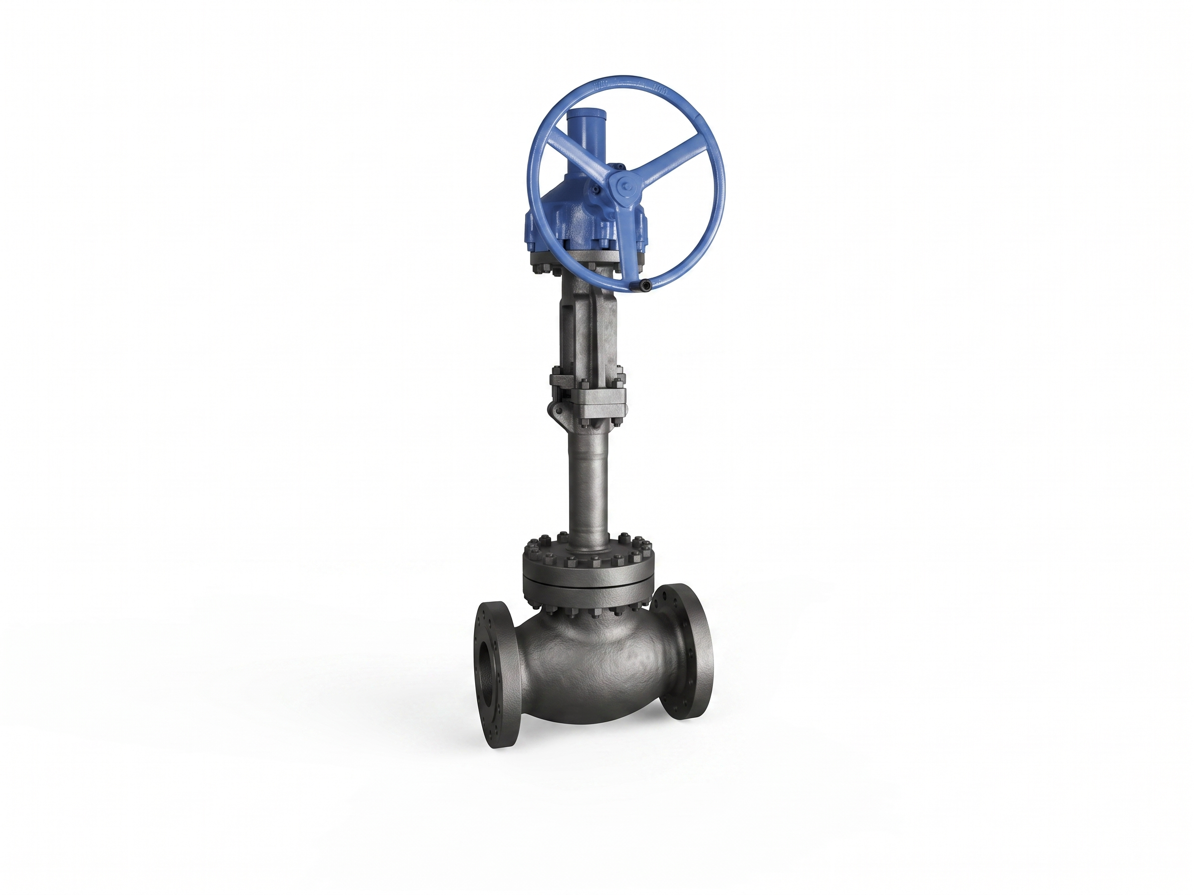 Cryogenic Globe Valve